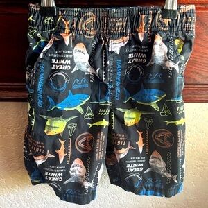 365Kids Boys Size 5 Colorful Shark Print Shorts 100% Cotton Ocean Beach Shorts
